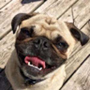 Meet your Posher, Marina